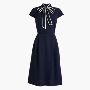 Jcrew Navy Dress with White Accents